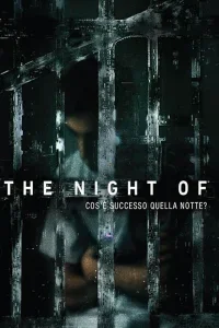 The Night Of